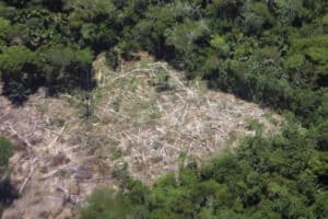 Deforestación en la Amazonia